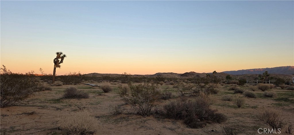 MLS #JT25267927 image #1