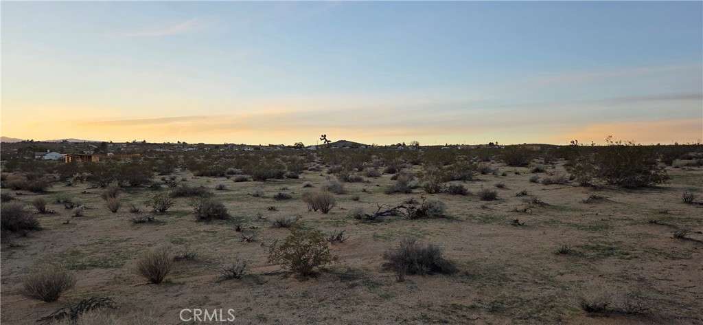 MLS #JT25267927 image #3