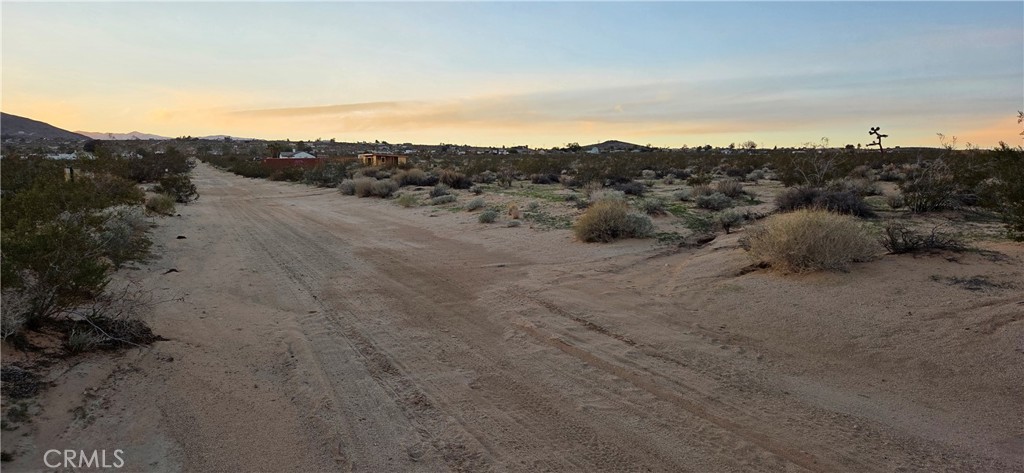 MLS #JT25267927 image #4