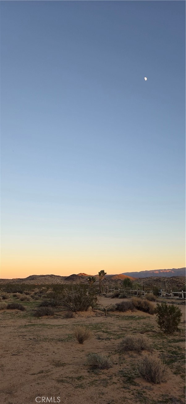 MLS #JT25267927 image #5