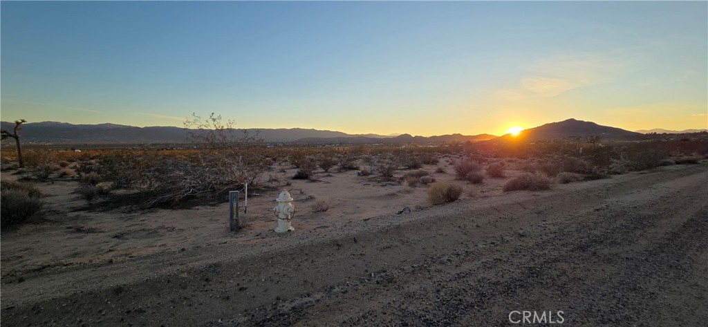 MLS #JT25267948 image #2