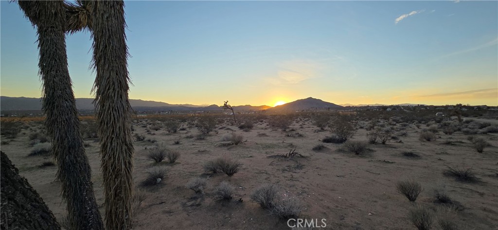 MLS #JT25267948 image #3