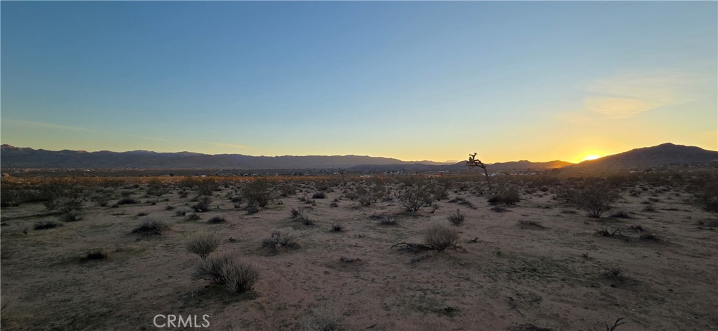 MLS #JT25267948 image #4