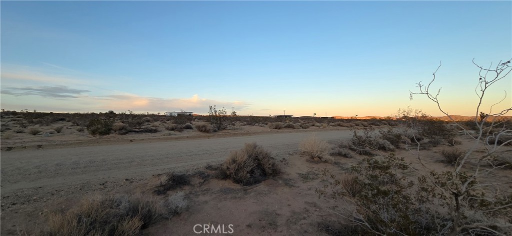 MLS #JT25267948 image #5