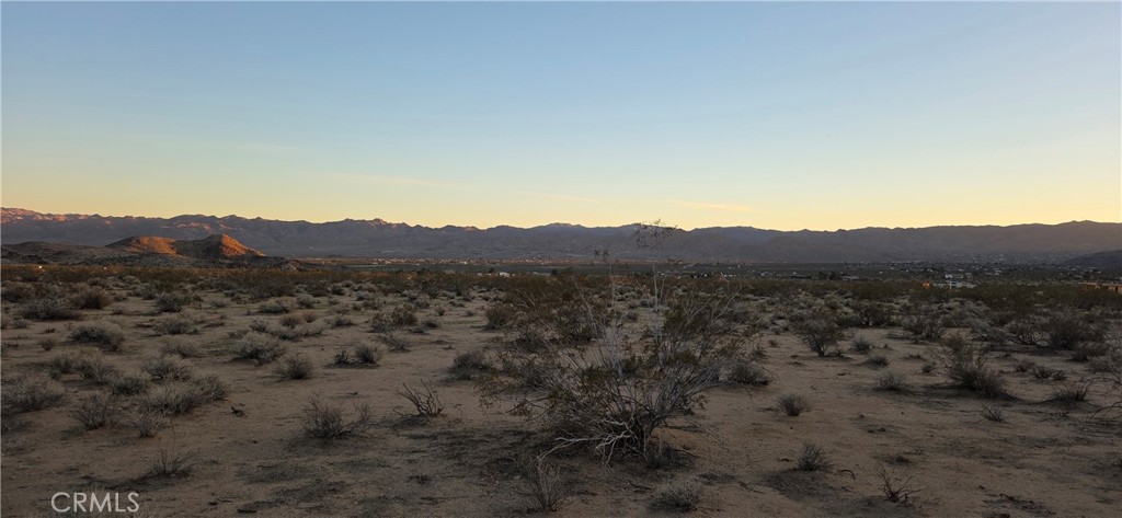 MLS #JT25267948 image #6