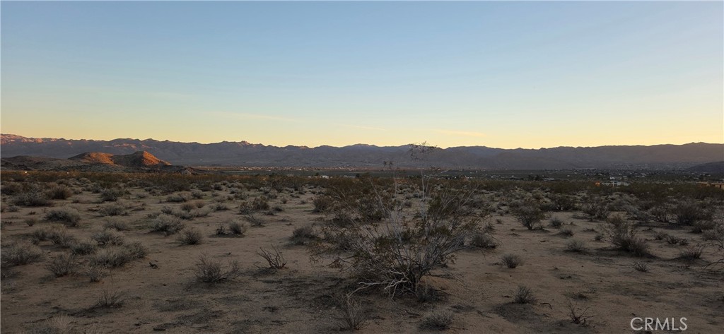 MLS #JT25267968 image #4