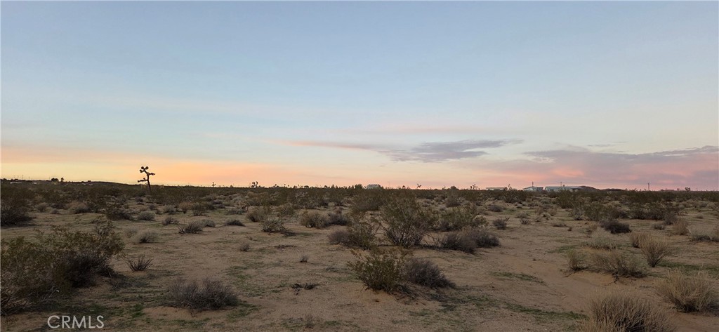 MLS #JT25267968 image #5