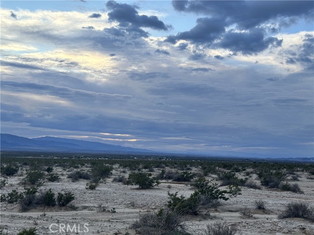 MLS #JT25269267 image #11