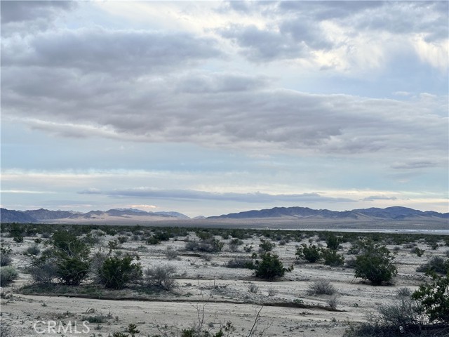 MLS #JT25269267 image #12