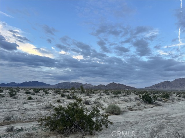 MLS #JT25269267 image #3