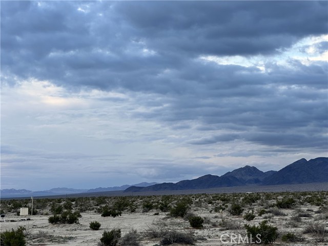 MLS #JT25269267 image #4