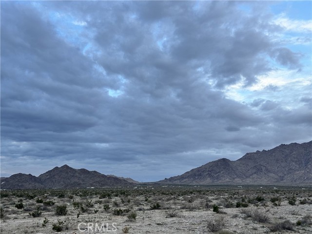 MLS #JT25269267 image #6