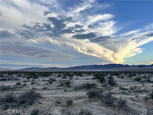 MLS #JT25269267 image #7