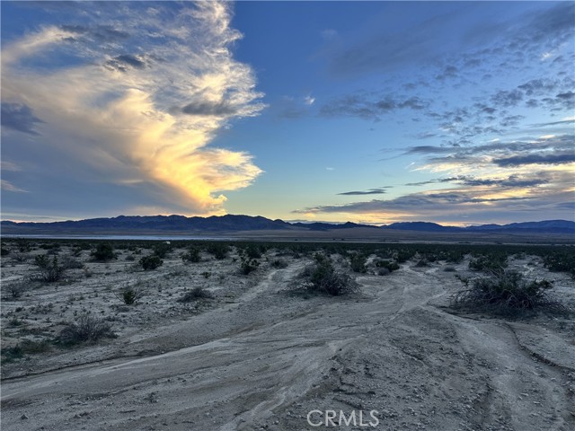 MLS #JT25269267 image #8