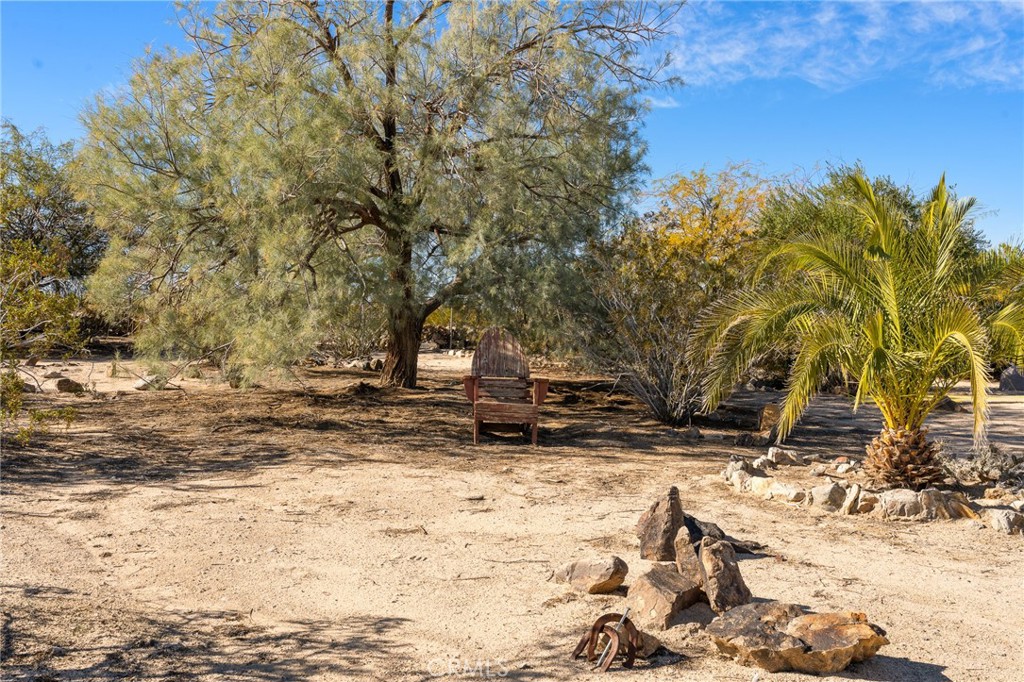 MLS #JT25272136 image #31