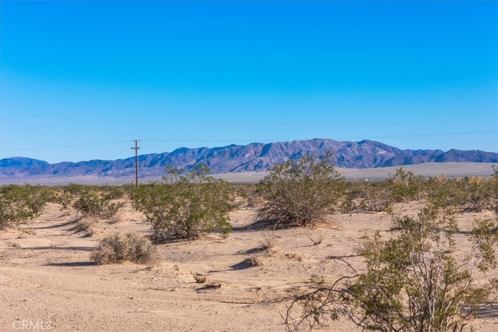 MLS #JT25276906 image #26