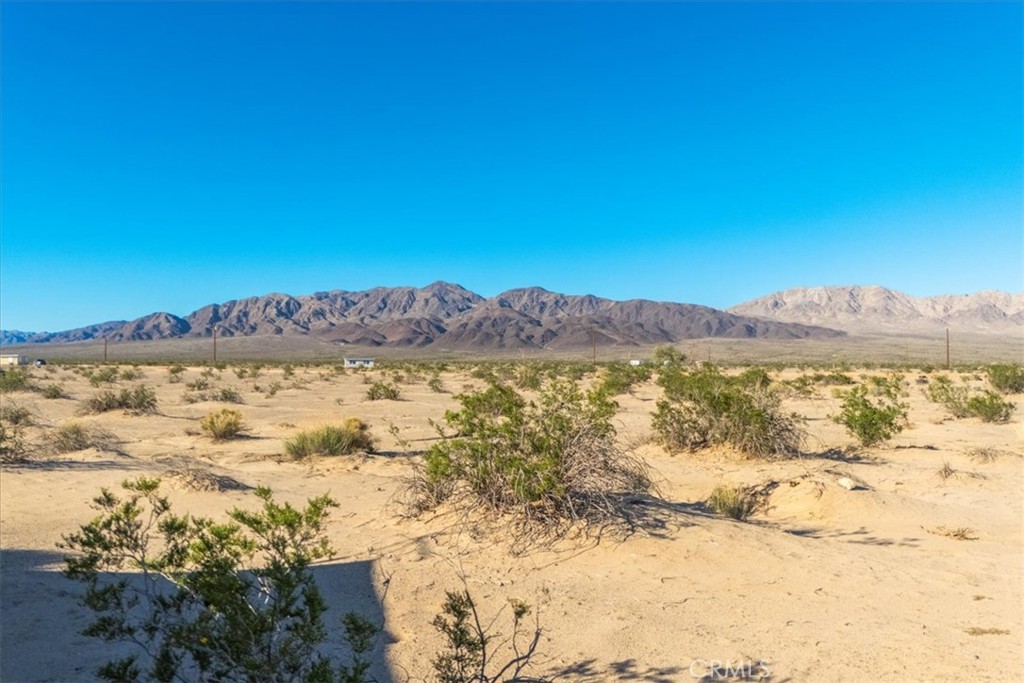 MLS #JT25276906 image #29