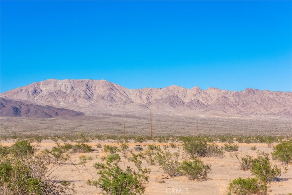 MLS #JT25276906 image #30