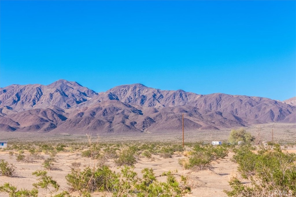 MLS #JT25276906 image #31