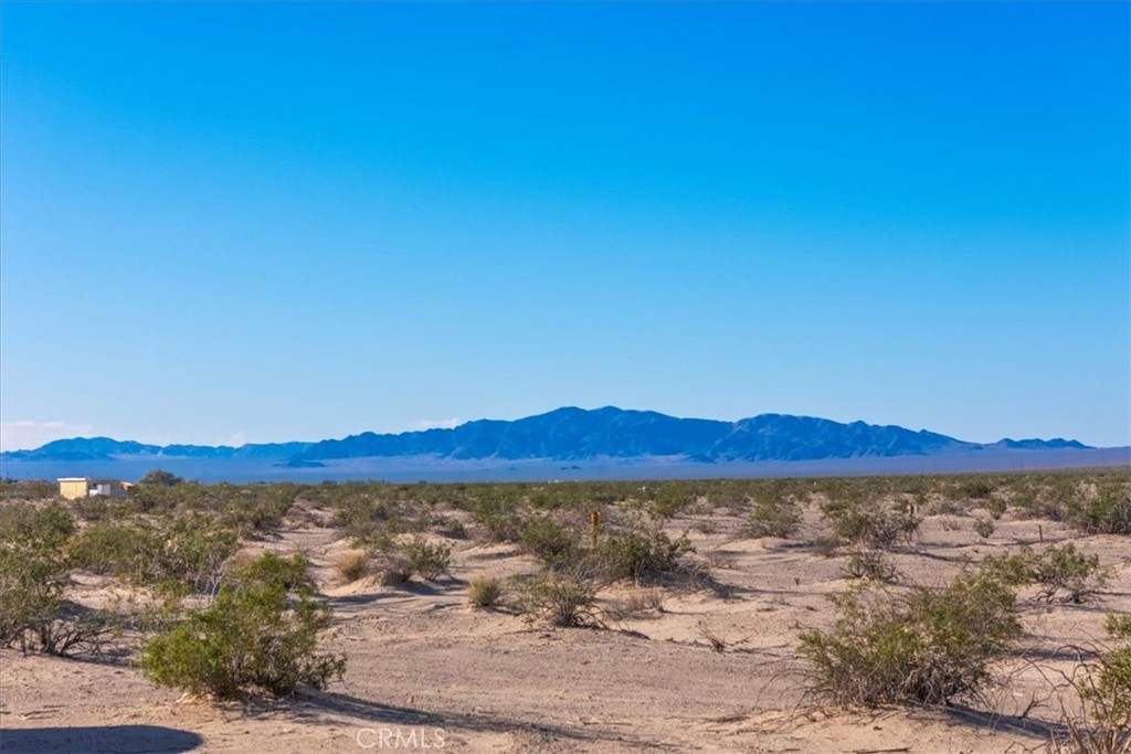 MLS #JT25276906 image #32