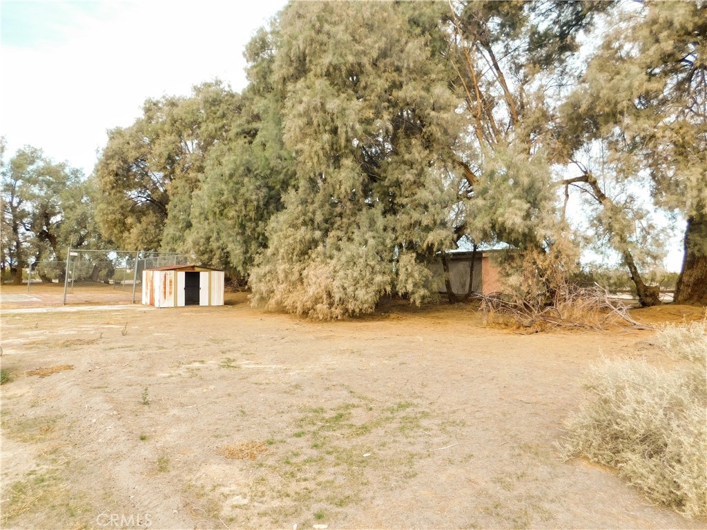 MLS #JT25279254 image #15