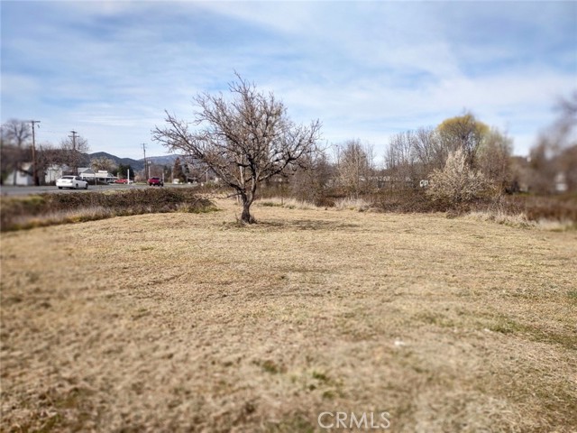 MLS #LC23101489 image #3