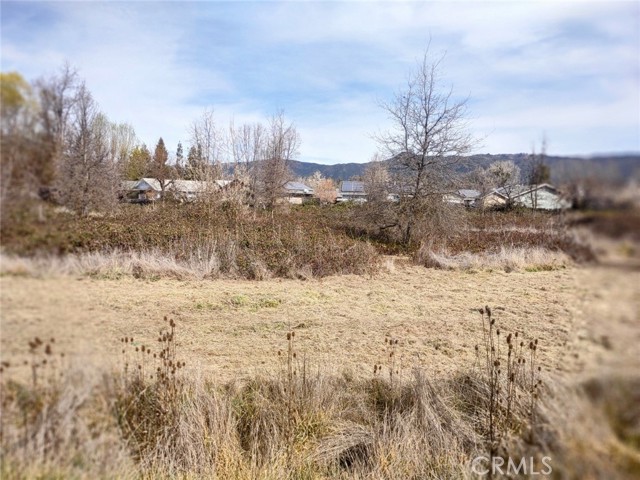 MLS #LC23101489 image #4