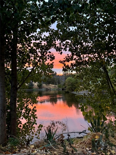 MLS #LC25018117 image #35