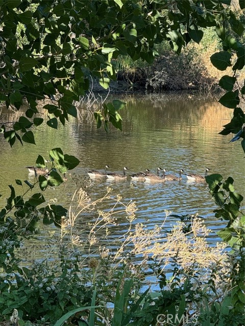 MLS #LC25018117 image #45