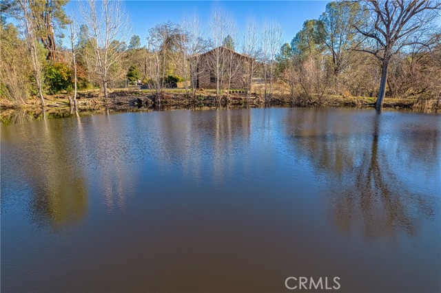 MLS #LC25018117 image #49