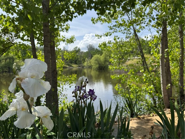 MLS #LC25018117 image #54