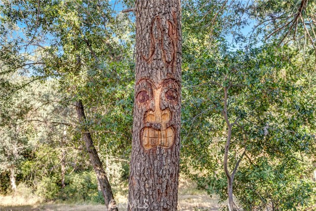 MLS #LC25114131 image #22