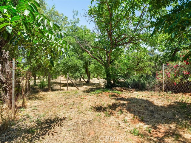 MLS #LC25128136 image #35