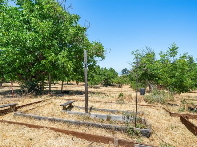 MLS #LC25128136 image #39