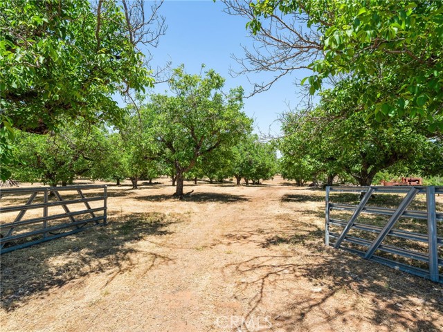 MLS #LC25128136 image #46