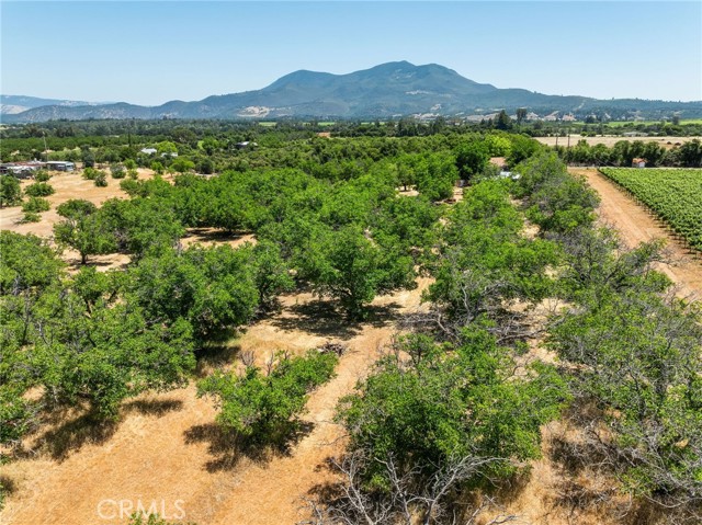 MLS #LC25128136 image #47