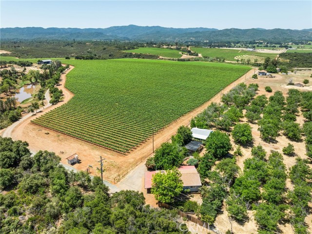 MLS #LC25128136 image #56