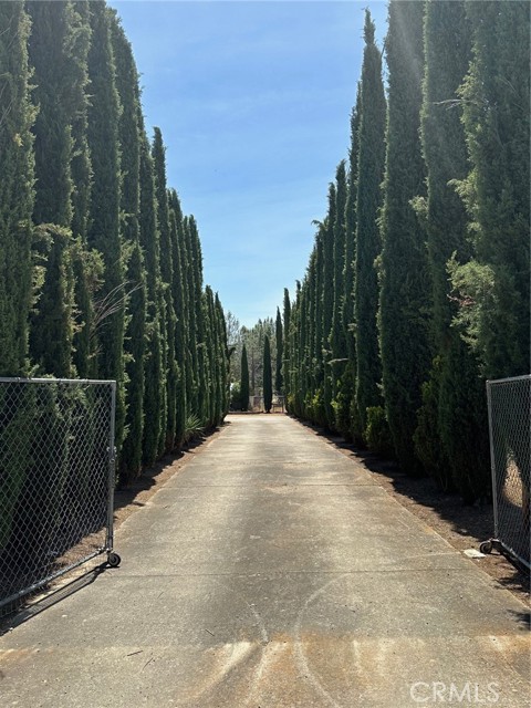 MLS #LC25129607 image #1