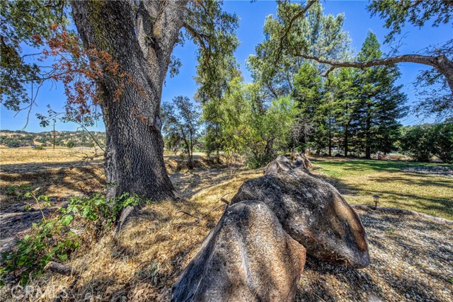 MLS #LC25175682 image #47