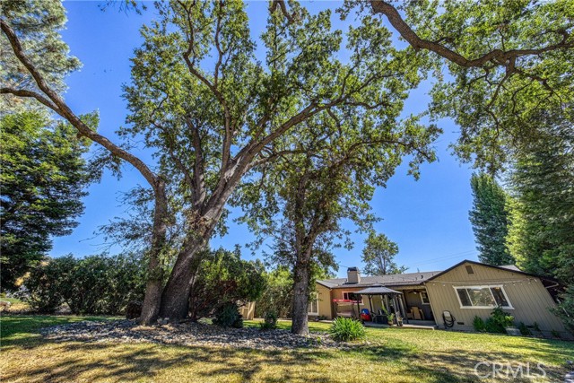 MLS #LC25175682 image #49