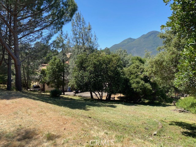 MLS #LC25182521 image #3