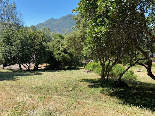 MLS #LC25182521 image #4