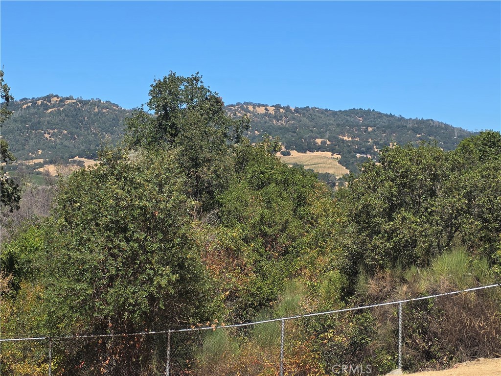 MLS #LC25183893 image #29