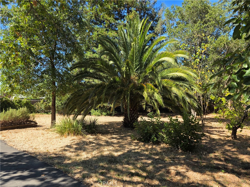 MLS #LC25183893 image #34