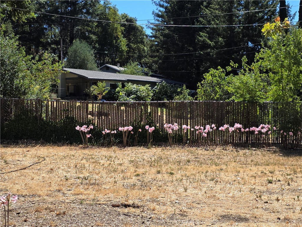 MLS #LC25183893 image #36