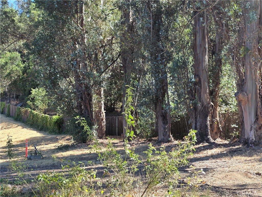 MLS #LC25183893 image #37