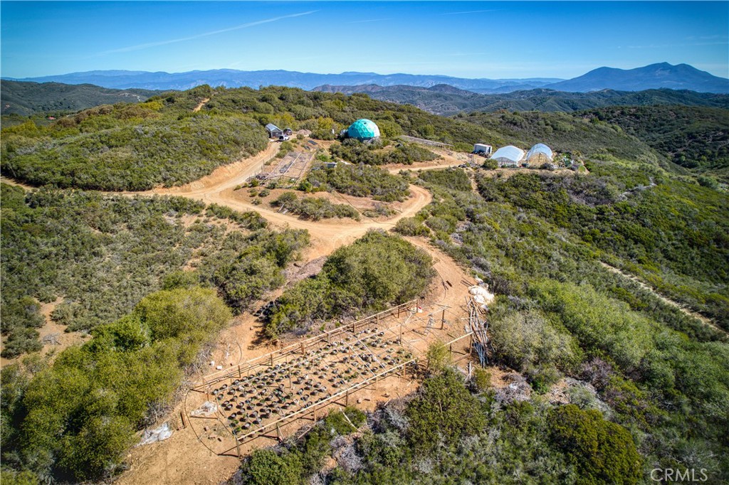 MLS #LC25239508 image #5