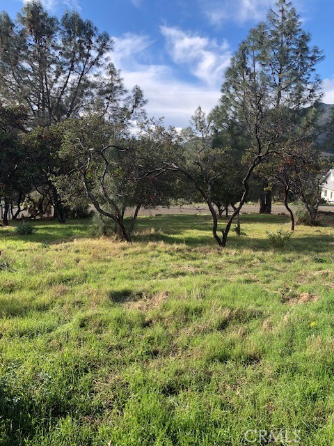 MLS #LC25264675 image #0