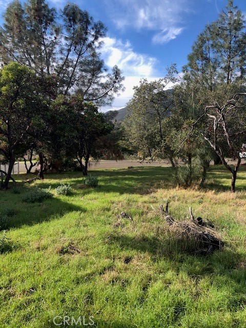 MLS #LC25264675 image #1