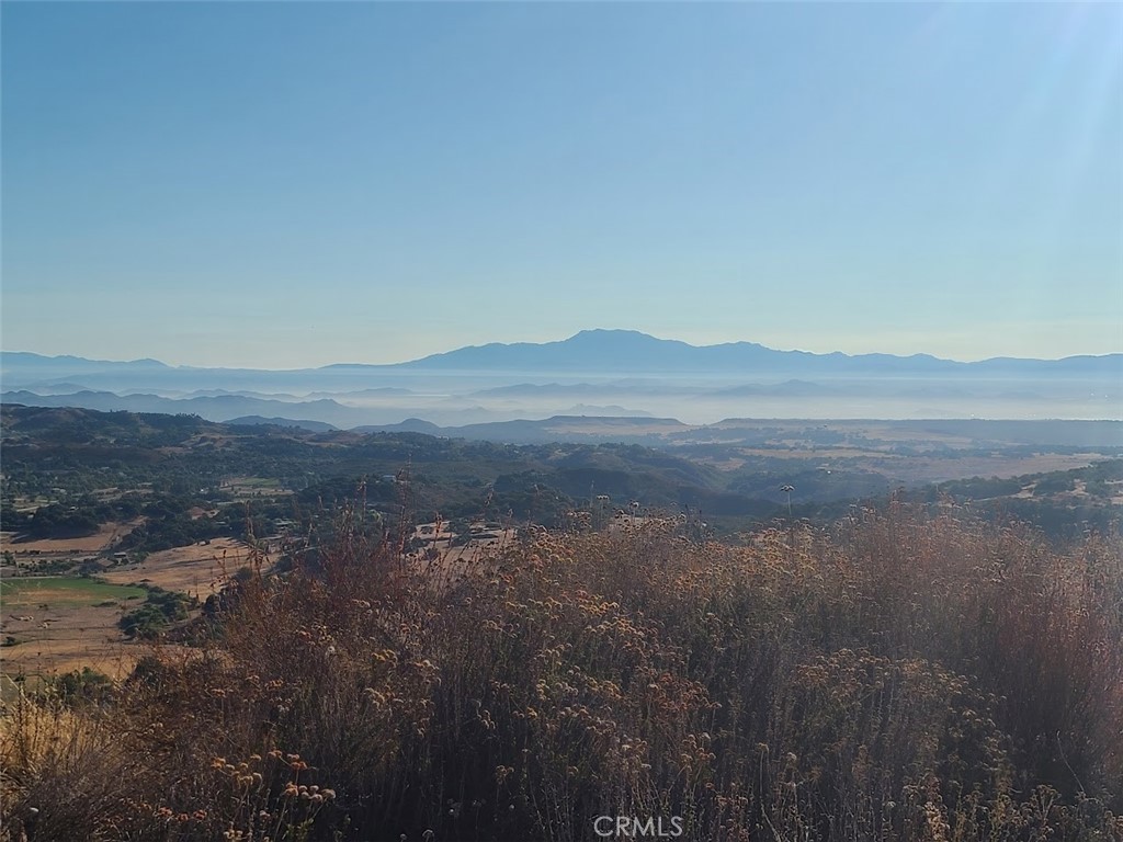 MLS #LG24076351 image #7